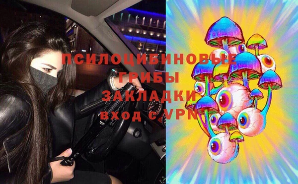 шишки Волоколамск